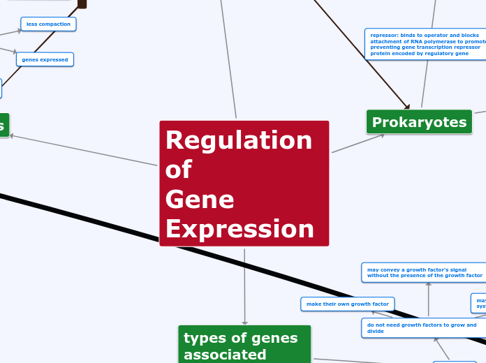 Regulation Of Gene Expression Mind Map